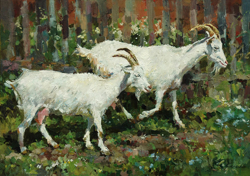 White goats