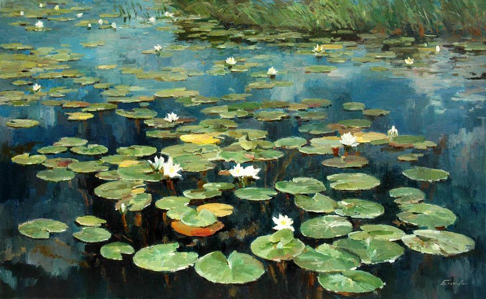Кувшинки