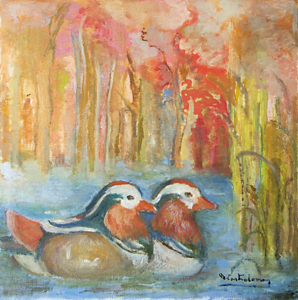 Patos mandarines