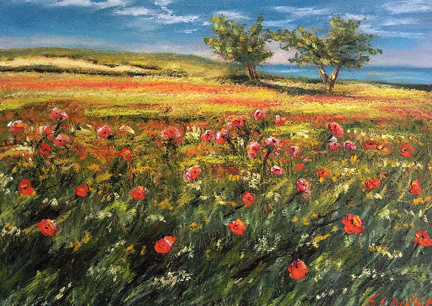 Campo fiori rosa e mare