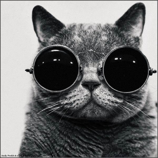 Mind game of Ozzy