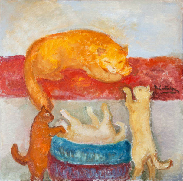 gatos