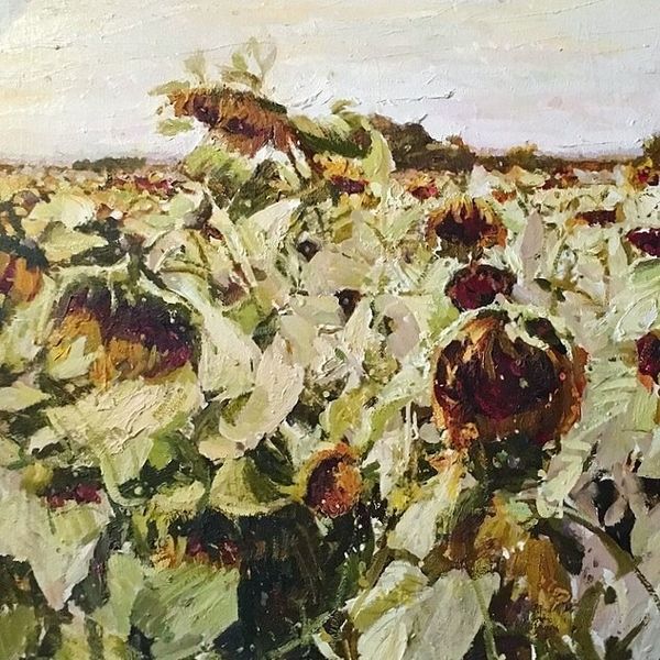 Подсолнухи