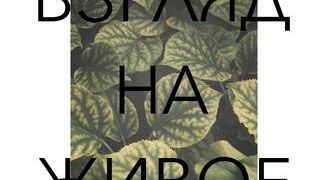Взгляд на живое